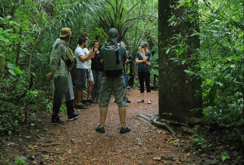 Decolar inaugura suas primeiras oito lojas físicas no Brasil