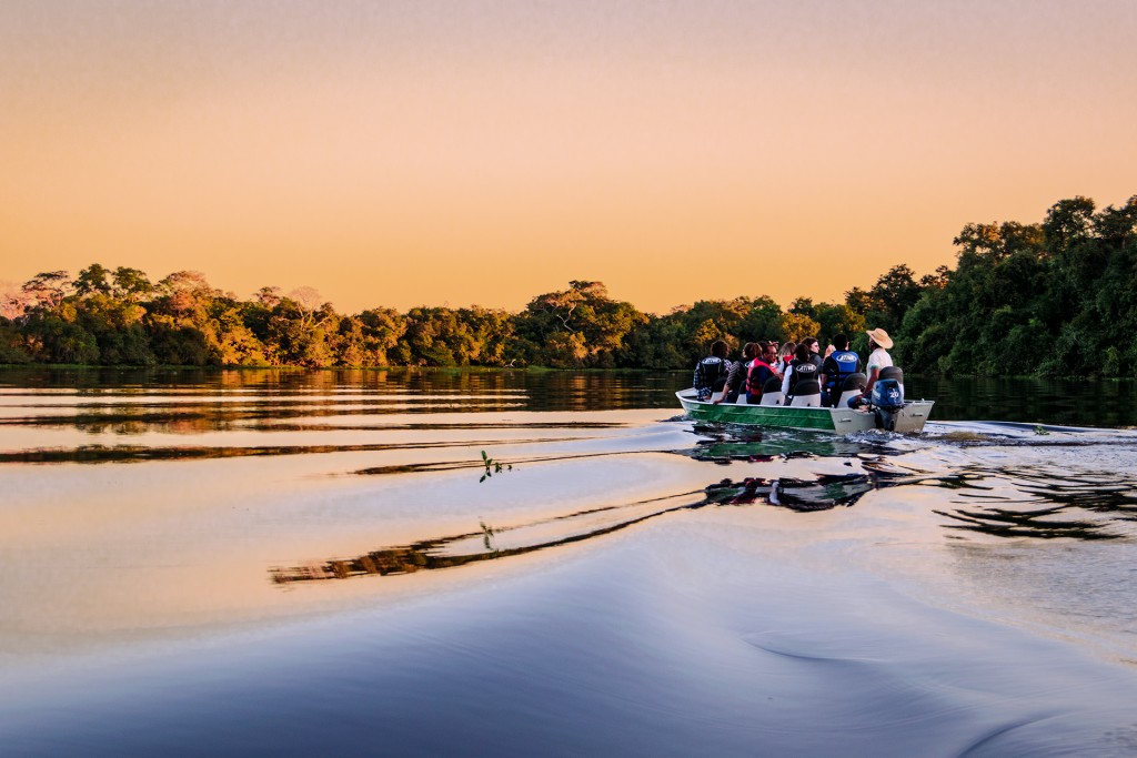 Cáceres (MT) recebe exposição Parque dos Dinossauros com entrada gratuita, Mato Grosso