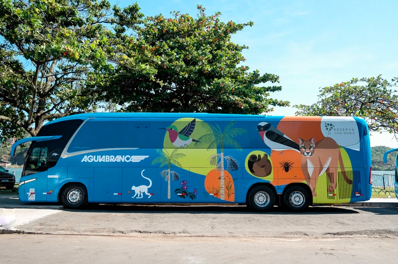 Encontro reúne fãs de ônibus no Centro-Oeste de Minas