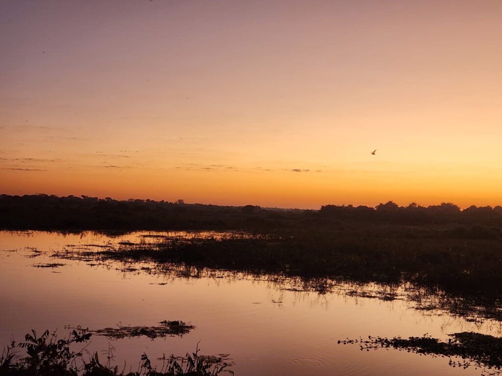 Anoitecendo no Pantanal 2