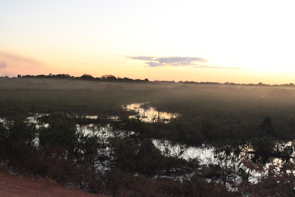 Planície alagada do Pantanal Norte