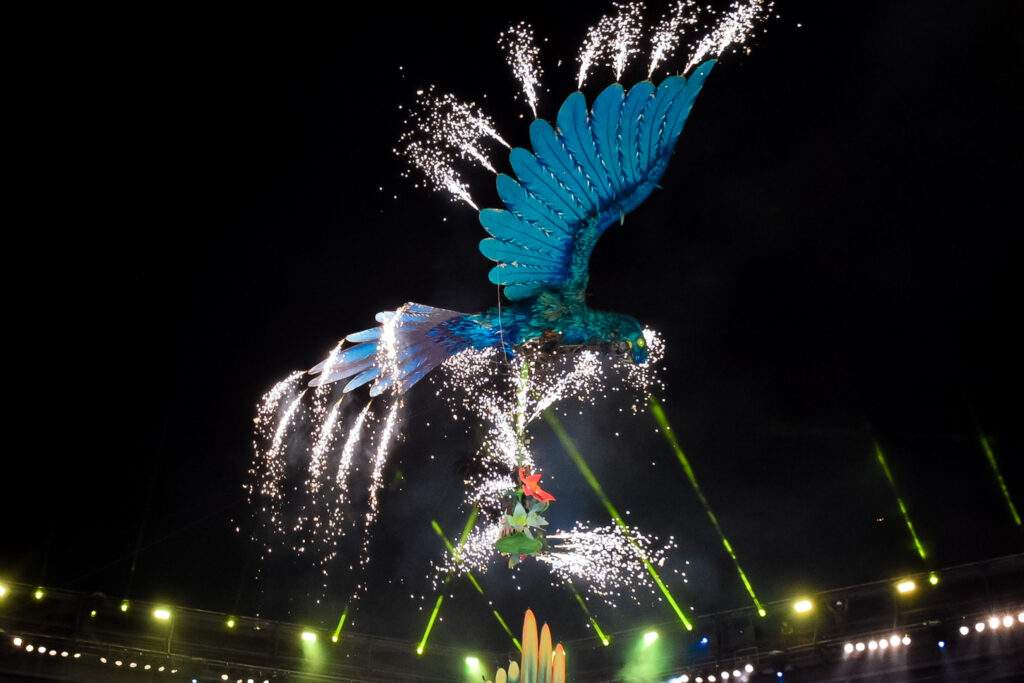 Uma arara Azul levou a cunha do Boi Caprichoso a arena Boi Caprichoso vence Festival de Parintins 2024, conheça o enredo e veja fotos