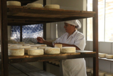 Serra da Canastra: uma viagem pela história e tradição do queijo artesanal