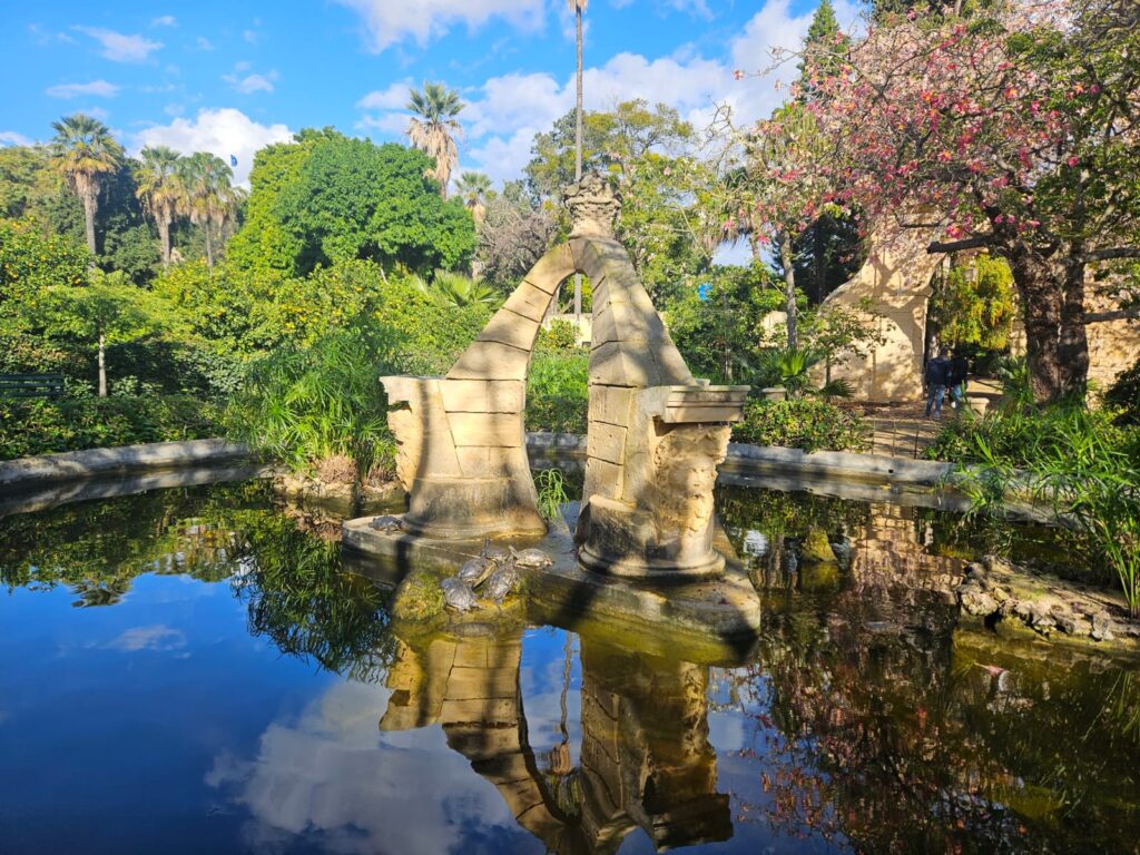 Tartarugas dos jardins da residência presidencial