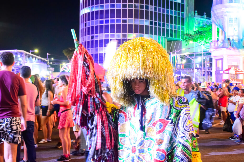 O carnaval do Recife é muito rico em personagens que refletem a cultura de cada região do estado