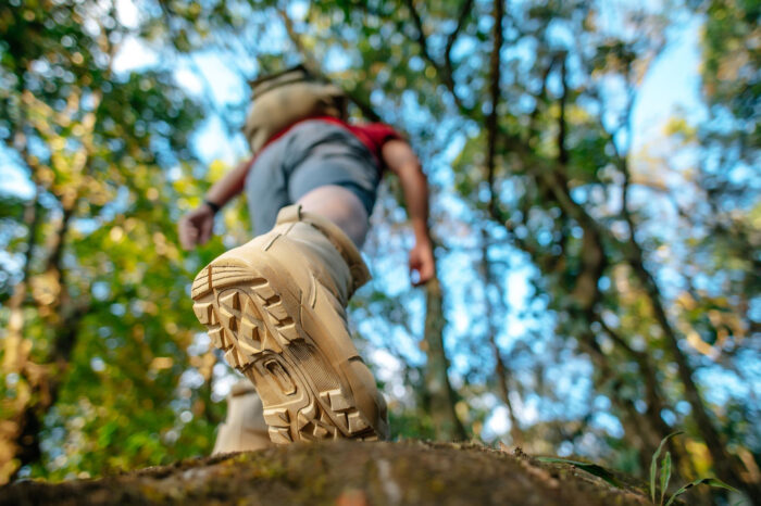 (Freepik/Jcomp) Visitação a Parques Naturais no Brasil bate recorde em 2023 e movimenta economia